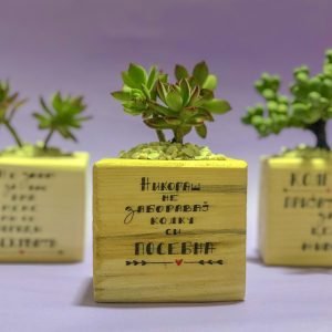 Дрвен сад со растение "НИКОГАШ НЕ ЗАБОРАВАЈ КОЛКУ СИ ПОСЕБНА"